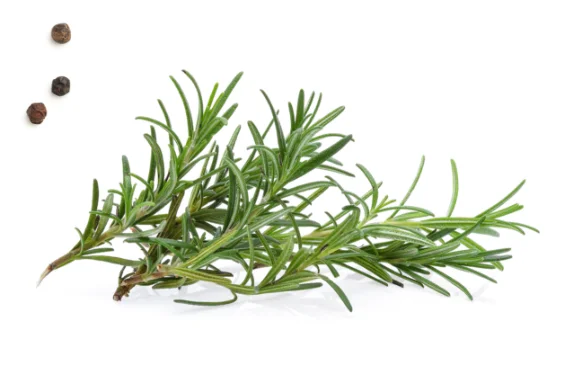 wholesale pork, friselva quality and traditional, pork short ribs, best pork short ribs, pork meat, buy pork meat online, best pork meat near me, beef ribs vs pork ribs, pig meat, buy pig meat, best pig meat, Friselva,